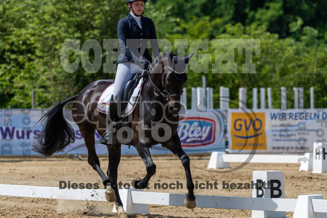 Westerstede Horse Trials 2021