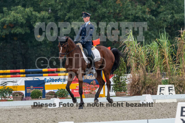Deutsche Meisterschaft Vielseitigkeit (Luhmühlen)