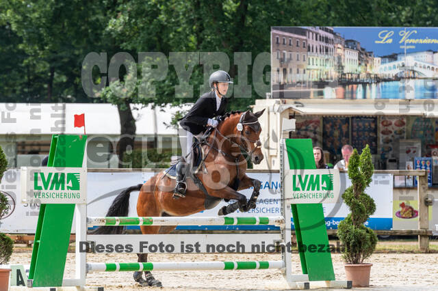 Goldene Schärpe 2021 - Ponys