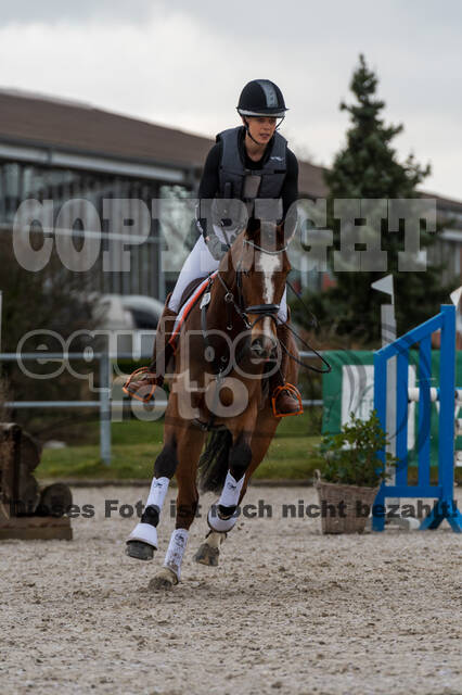 Eventing im Pferdesportzentrum Rheinland (Late Entry 14.03.2022)