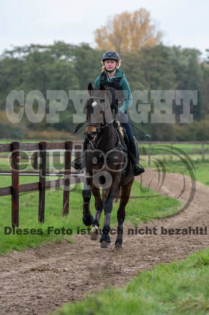Vielseitigkeitslehrgang mit Jürg Kurbel (9.+10.11.2019)