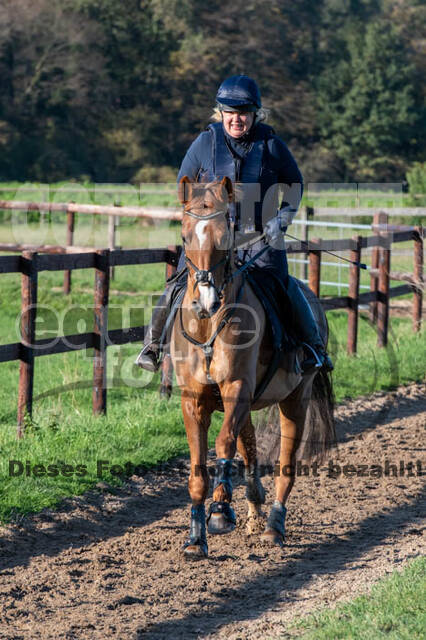 Vielseitigkeitslehrgang mit Jürg Kurbel (9.+10.11.2019)