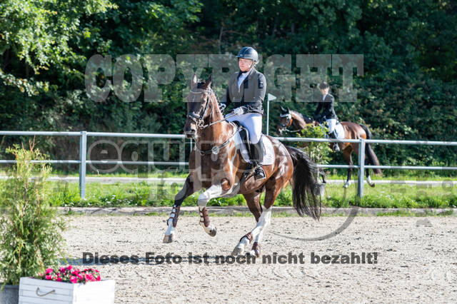 Late-Entry-Vielseitigkeit Langenfeld (06.+07.07.2020)