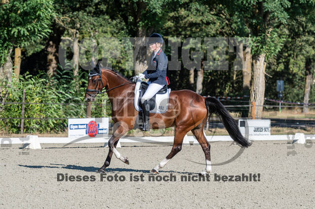 Kronenberg - De Peelbergen (August 2020)