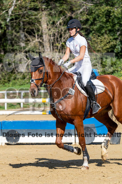 RFV Dinslaken-Hiesfeld (Herbstturnier)