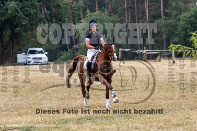 Late-Entry Vielseitigkeit Hamminkeln/Wesel (01.+02.08.2020)