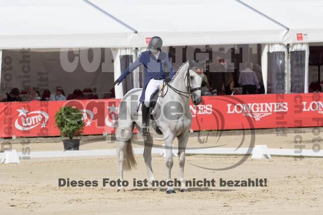 FEI European Championship Eventing 2017