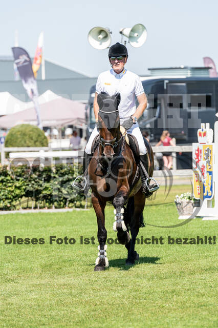 Kronenberg - De Peelbergen (August 2020)