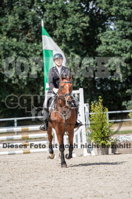 Landesturnier Rheinland, Vielseitigkeit, 22.+23.08.2020