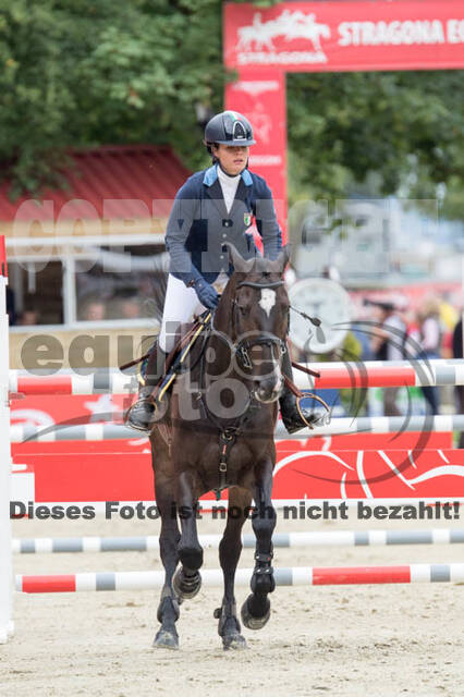 FEI European Championship