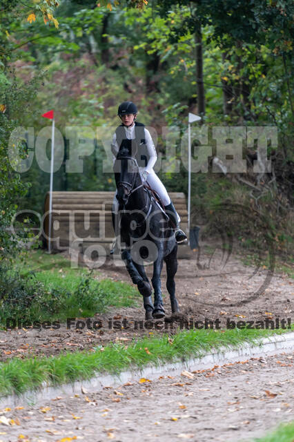 Goldene Schärpe 2020 - Pferde