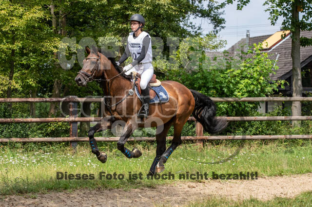 Late-Entry-Vielseitigkeit Gahlen (18.07.2020)