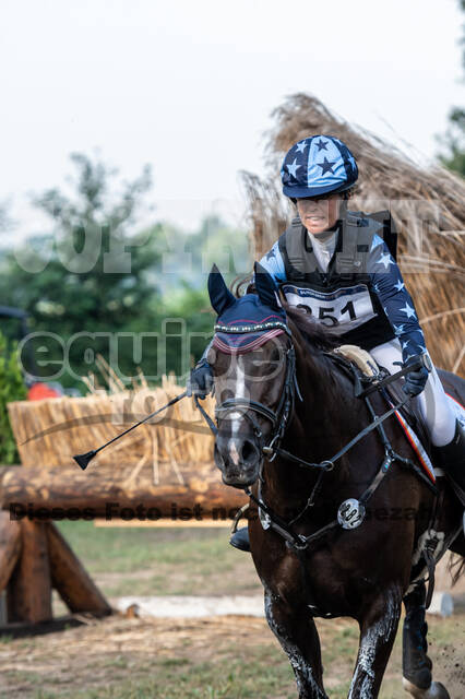 De Peelbergen (August 2020)