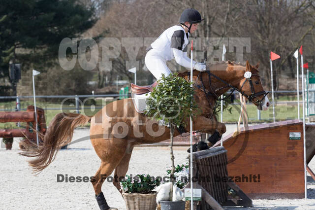 Eventing Langenfeld 2018