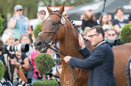 FEI European Championship Eventing 2019