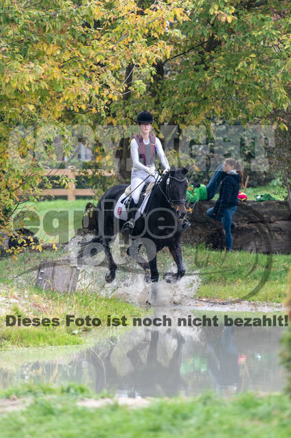 Goldene Schärpe 2020 - Pferde