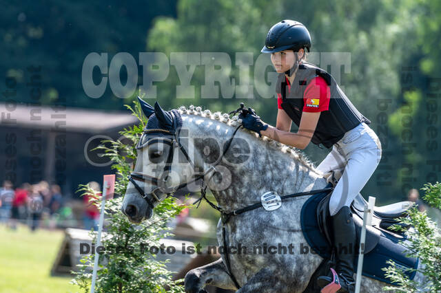 Goldene Schärpe 2021 - Ponys