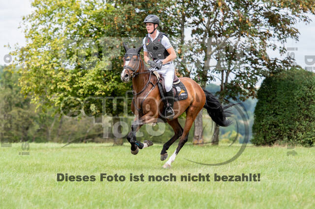 Bonn-Rodderberg Late-Entry-Vielseitigkeit (30.06.2020)