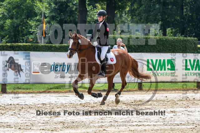 Goldene Schärpe 2021 - Ponys