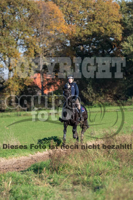 Vielseitigkeitslehrgang mit Jürg Kurbel (9.+10.11.2019)