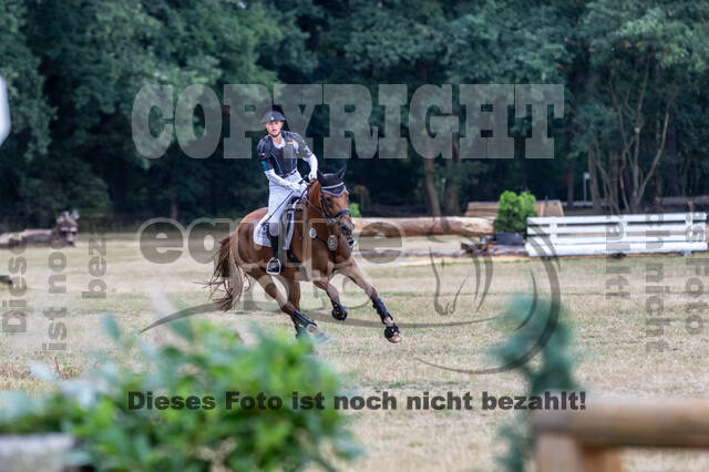 Late-Entry Vielseitigkeit Hamminkeln/Wesel (01.+02.08.2020)