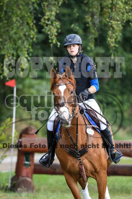 Late-Entry-Vielseitigkeit Langenfeld (11.+13./14.06.2020)