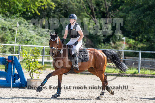 Late-Entry-Vielseitigkeit Langenfeld (11.+13./14.06.2020)