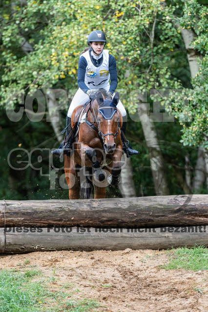 Vielseitigkeit RSV Wesel Obrighoven (26.+27.09.2020)