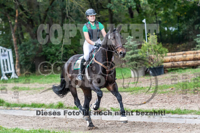 Goldene Schärpe 2020 - Pferde