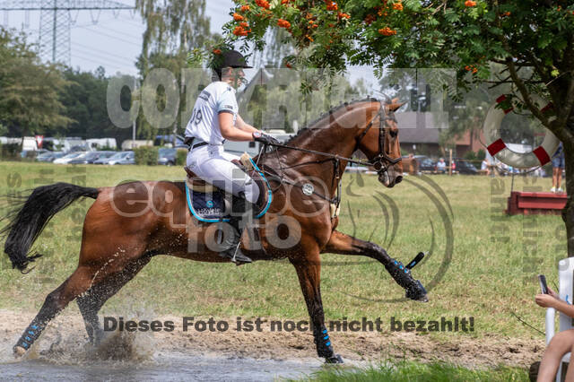 Late-Entry-Vielseitigkeit Gahlen (18.07.2020)