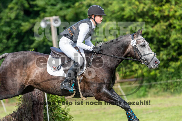 Goldene Schärpe 2021 - Ponys