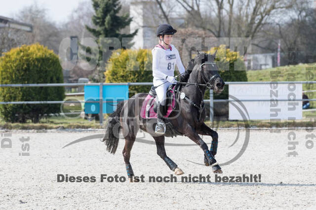 Eventing Langenfeld 2018