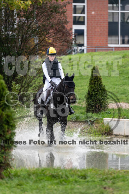 Goldene Schärpe 2020 - Pferde