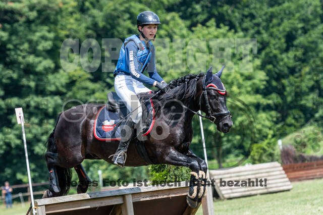 Goldene Schärpe 2021 - Ponys