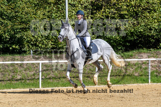 RFV Dinslaken-Hiesfeld (Herbstturnier)