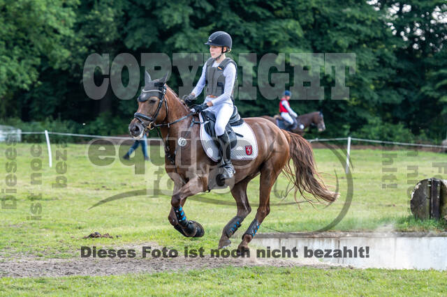 Goldene Schärpe 2021 - Ponys