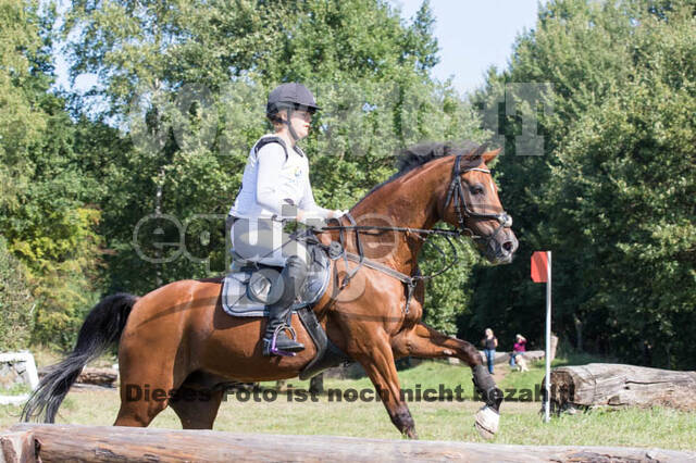 Vielseitigkeitsturnier RSV St. Hubertus Wesel Obrighoven