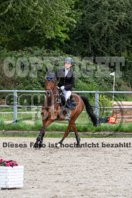 Late-Entry-Vielseitigkeit Langenfeld (06.+07.07.2020)