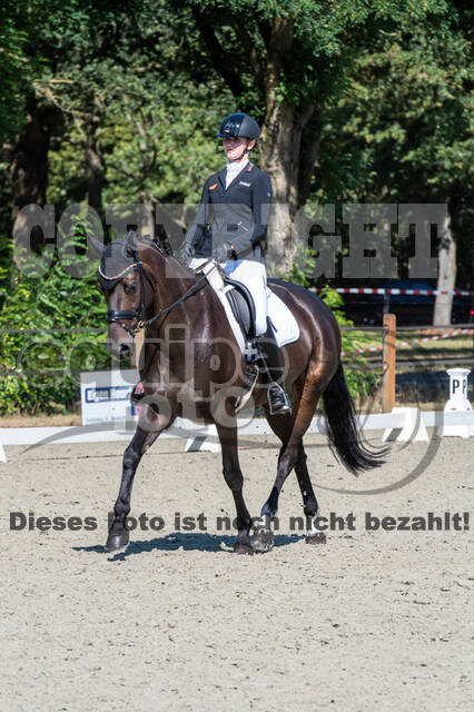 Kronenberg - De Peelbergen (August 2020)