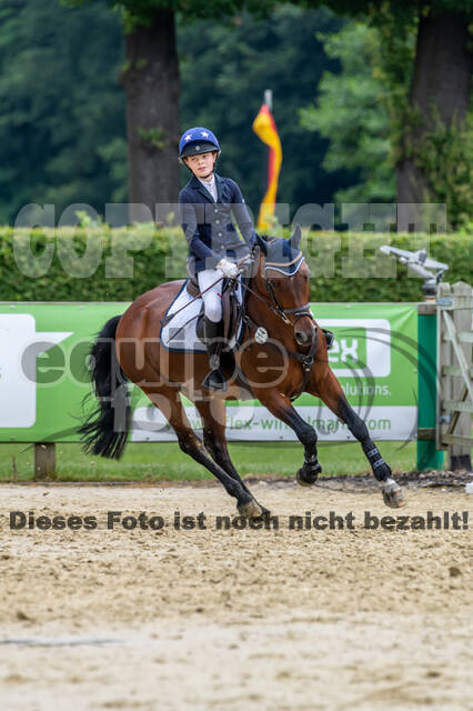 Goldene Schärpe 2021 - Ponys