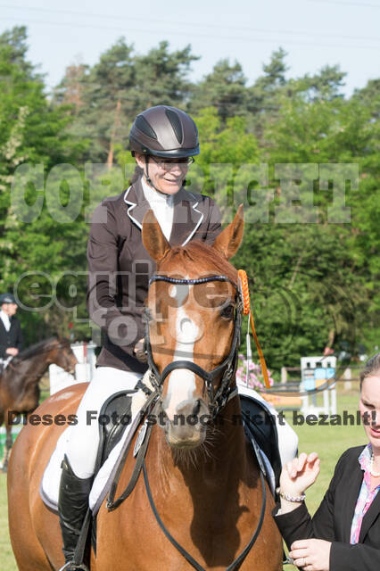 Vielseitigkeitsturnier ZRuFV von Lützow Hamminkeln