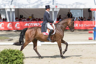European Championship Eventing 2017