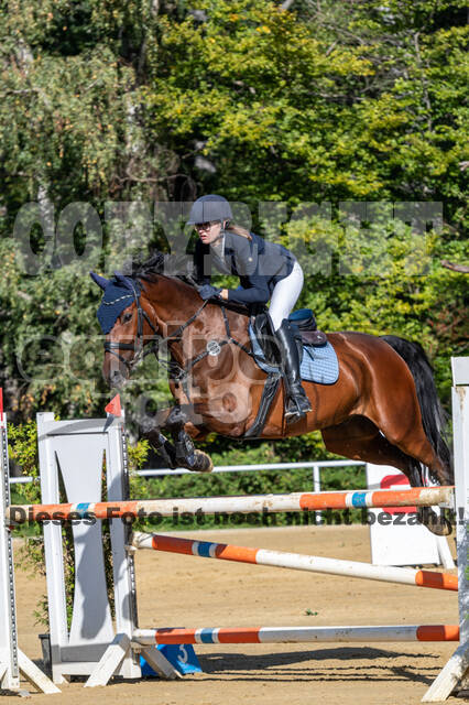 RFV Dinslaken-Hiesfeld (Herbstturnier)