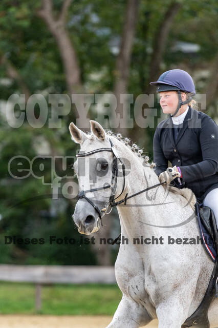 Vielseitigkeit RSV Wesel Obrighoven (26.+27.09.2020)