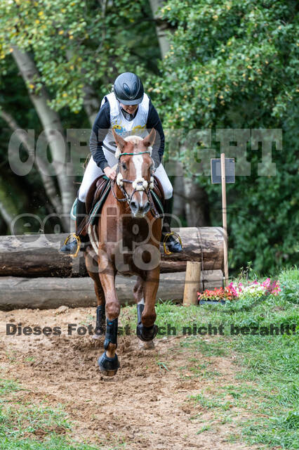 Vielseitigkeit RSV Wesel Obrighoven (26.+27.09.2020)