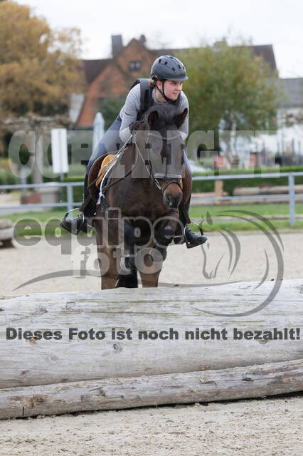 IGV Lehrgang der Sieger der Cups mit Frank Ostholt