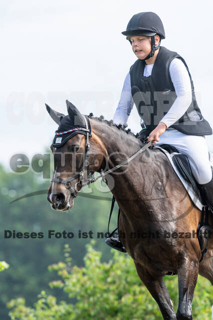 Goldene Schärpe 2021 - Ponys