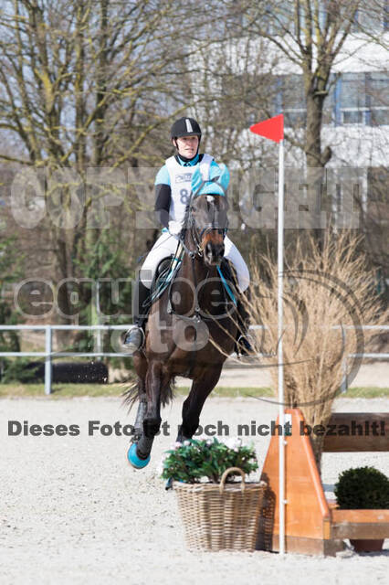 Eventing Langenfeld 2018