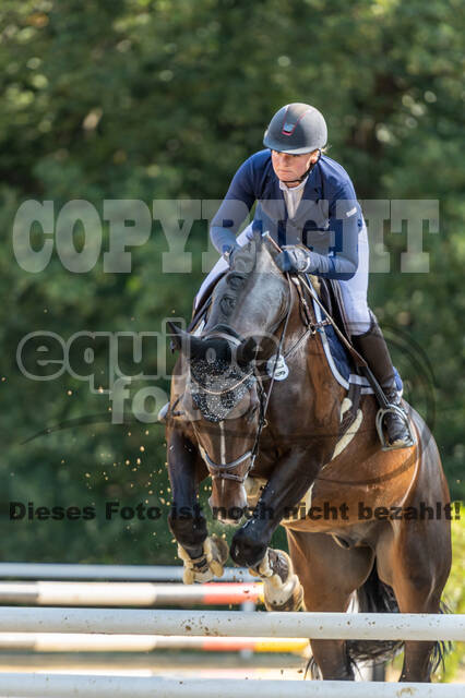 RFV Dinslaken-Hiesfeld (Herbstturnier)