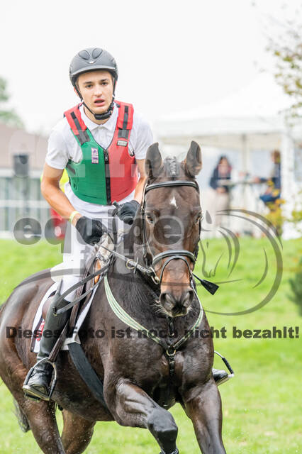 Goldene Schärpe 2020 - Pferde